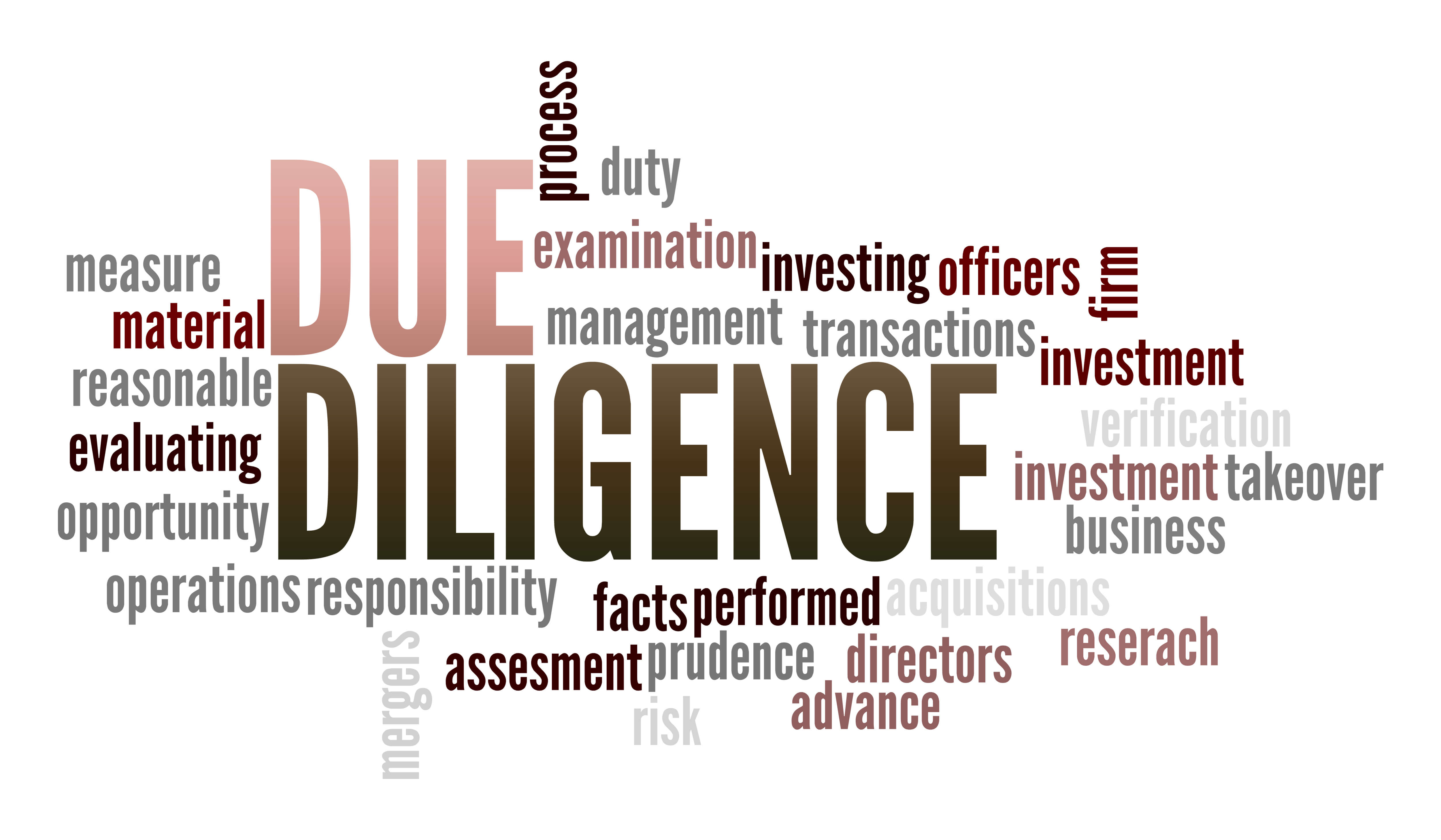 DUE DILIGENCE